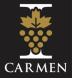 carmen iuzzolini vini